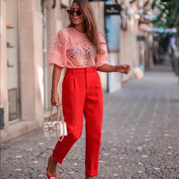 Zara Pants - Zara pleated high waisted pants bloggers favorite